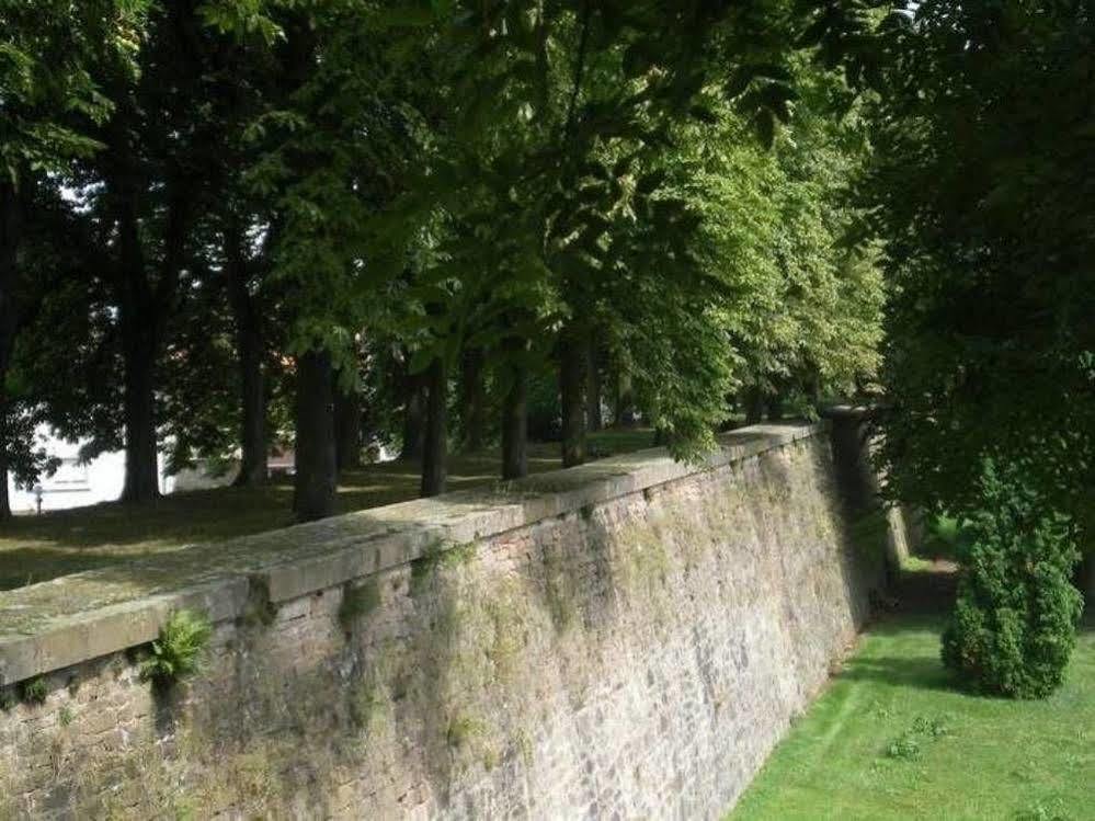 Chambres D'Hotes Le Domaine Des Remparts Sélestat Eksteriør bilde